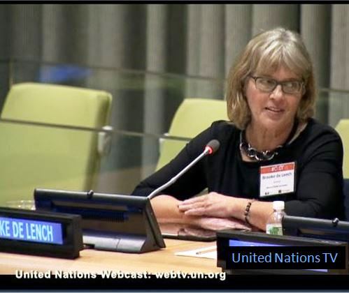 Brooke de Lench at #C4CT concussion conference at United Nations January 29, 2014