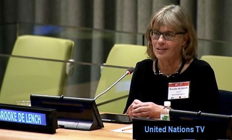 Brooke de Lench speaking at United Nations February 2014