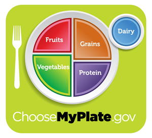 MyPlate food guidance system